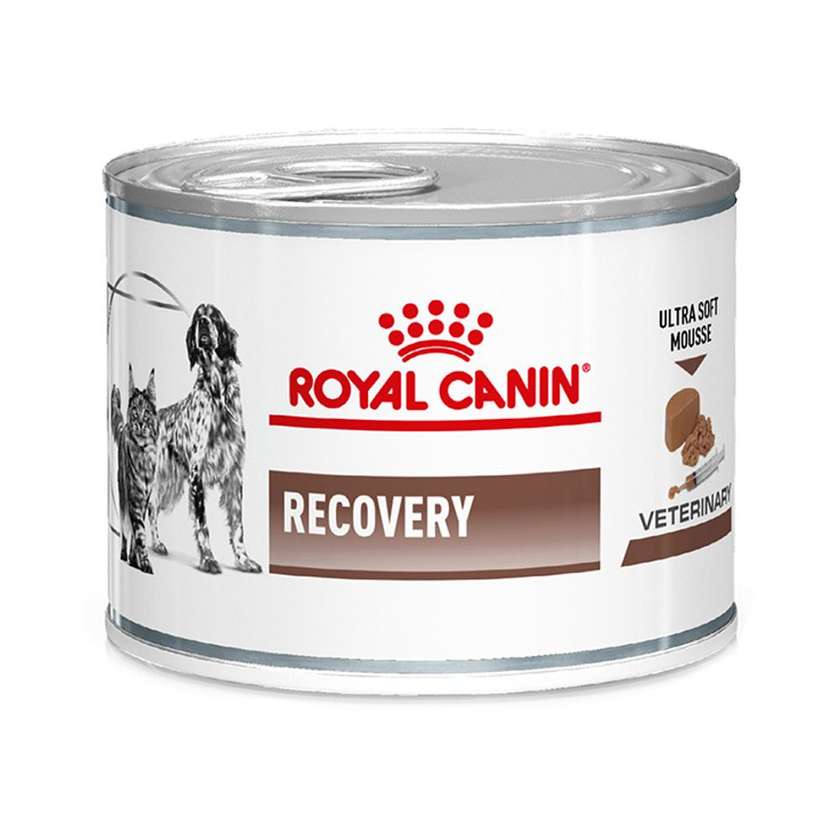 Royal Canin Recovery - вологий корм для кішок і собак при відновленні