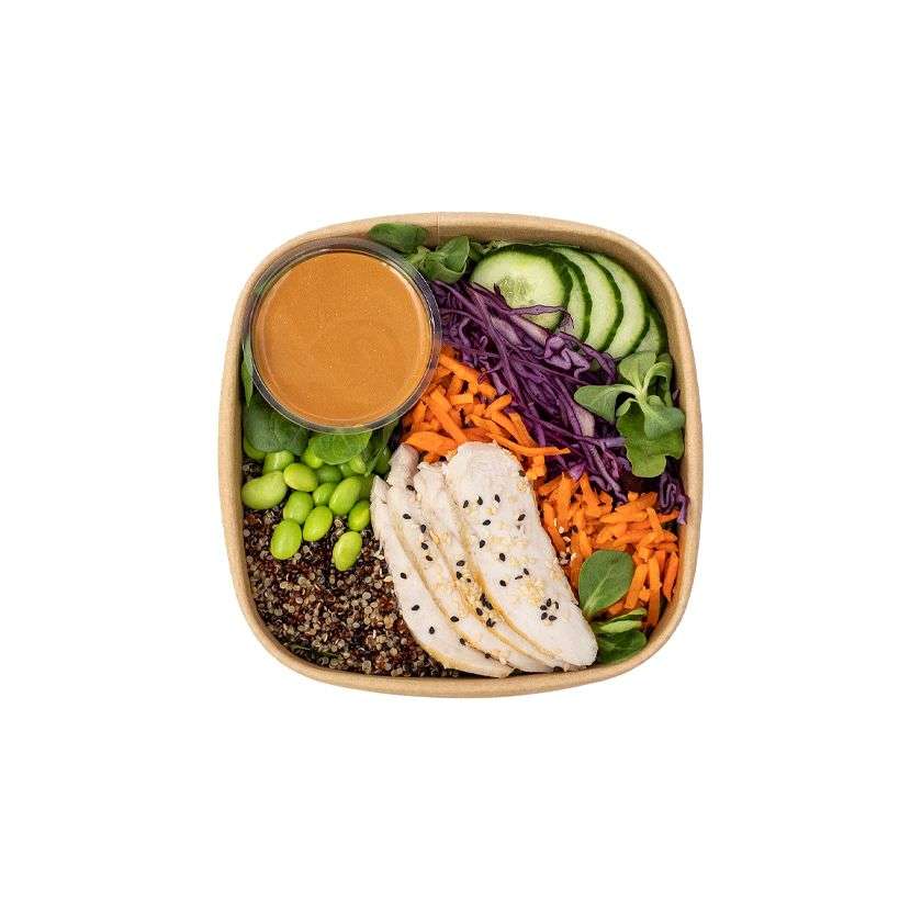 Chicken salad in teriyaki sauce