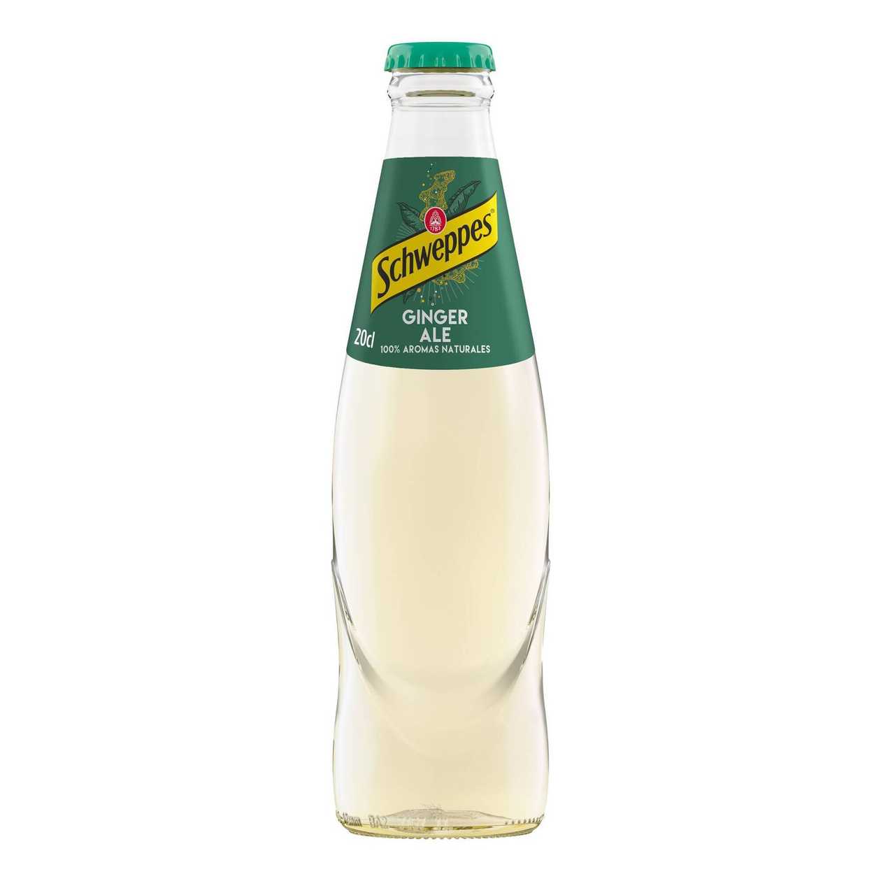 Tónica Schweppes Ginger (20CL)