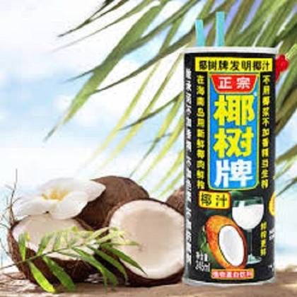 Leite de coco 245ML