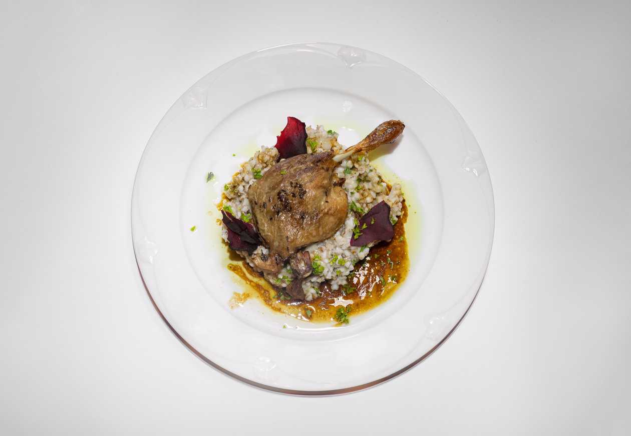Risotto with duck meat