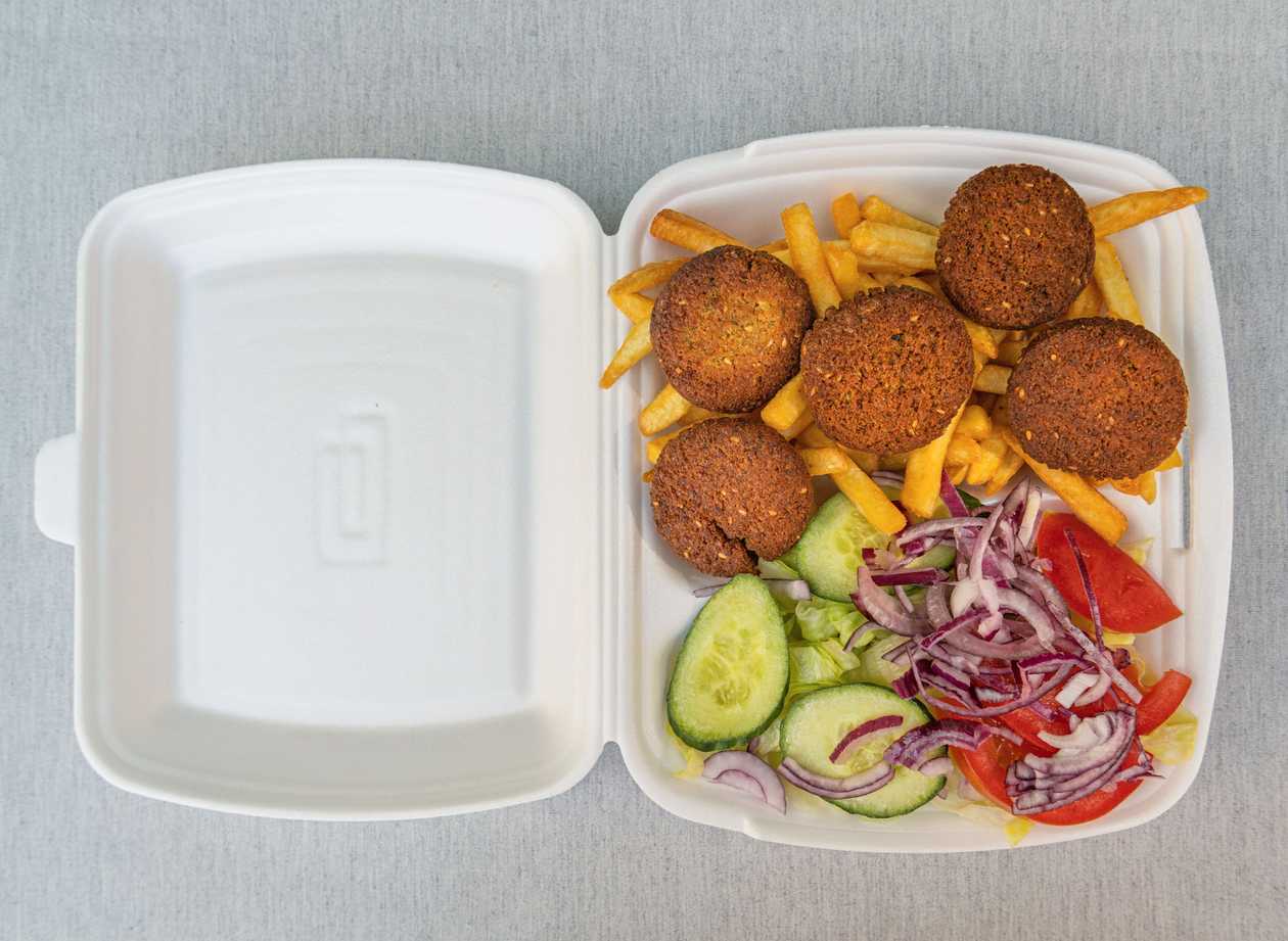 Falafel with french fries
