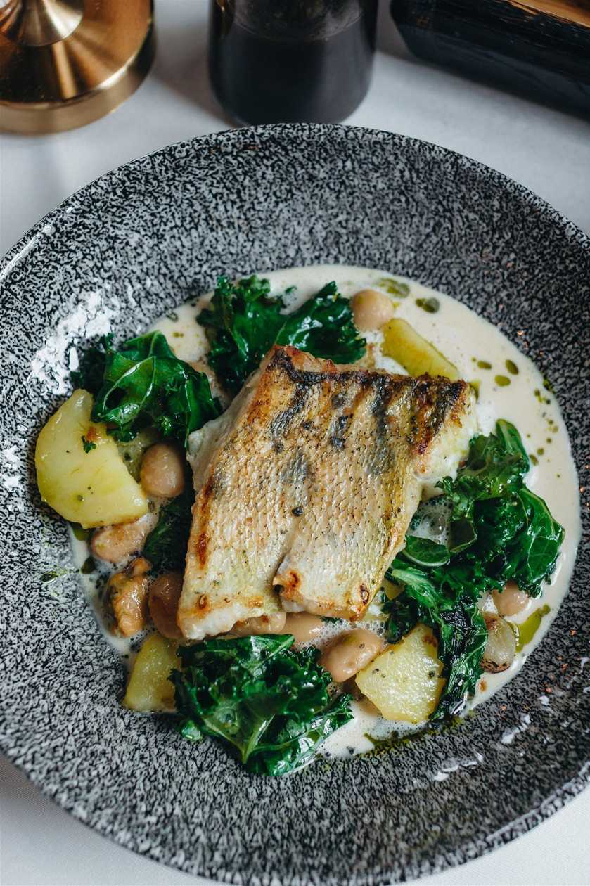 Grilled pike perch fillet