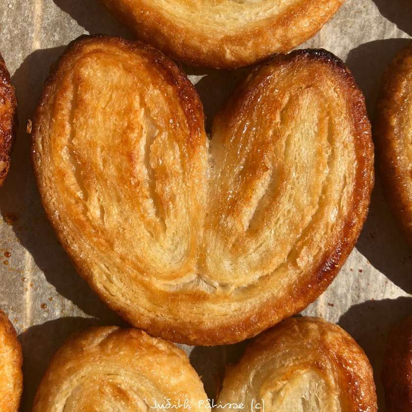 Palmier