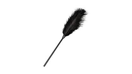 Fetish Love Black Feather Tickler - black feather for stimulation 33 cm