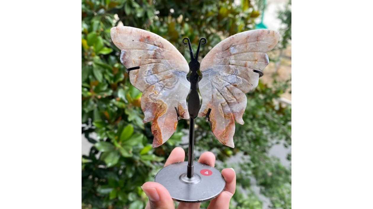 Forest Spell Butterfly Mexican Agate Edition