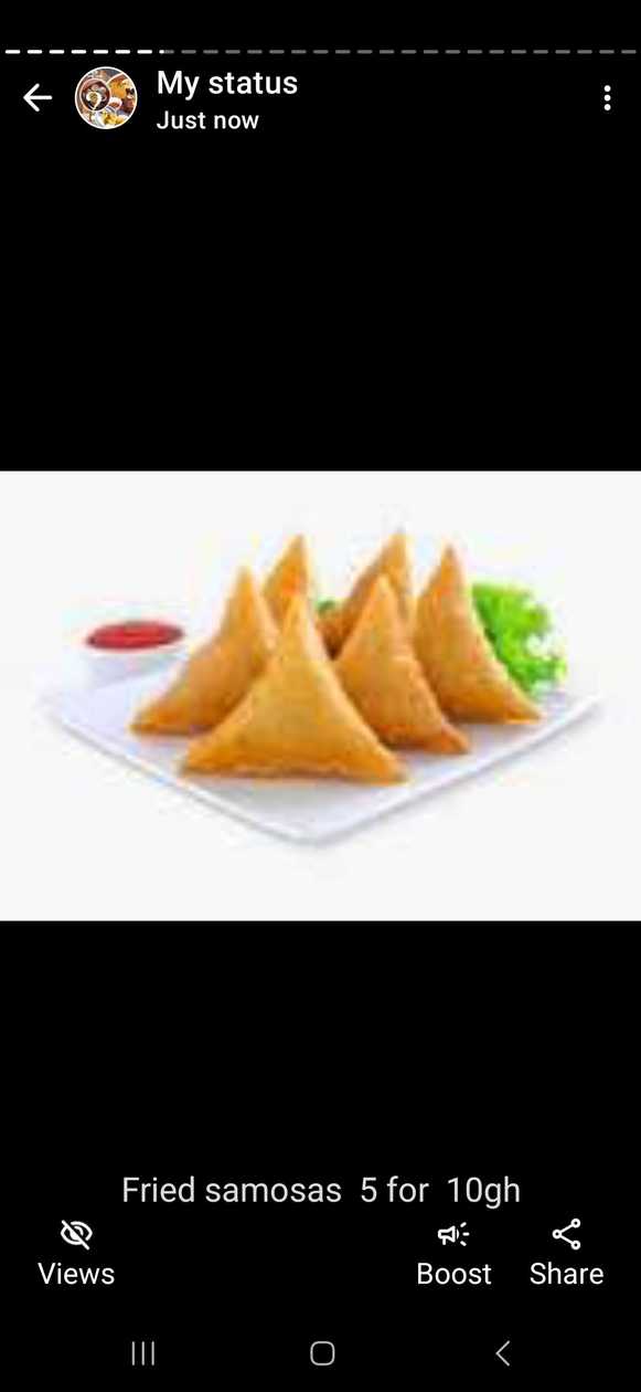 Chicken samosa