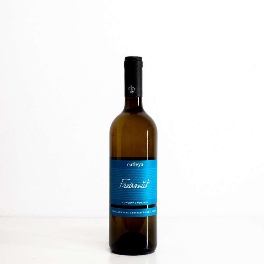 Catleya Freamat White