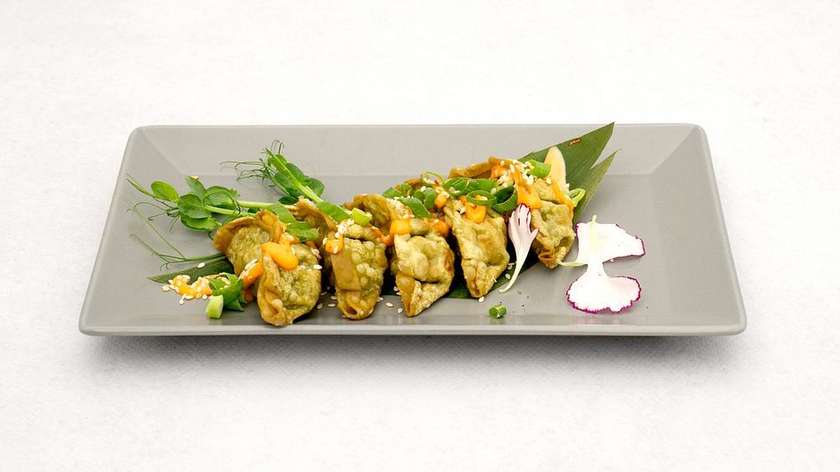 GYOZA BEJITARIAN