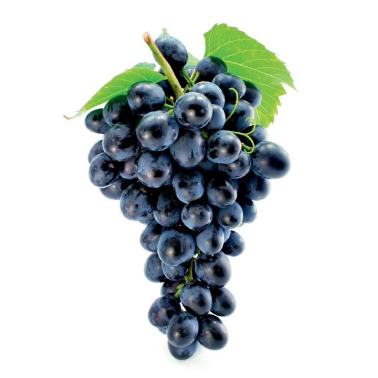 Dark grapes, 500g (expires soon)