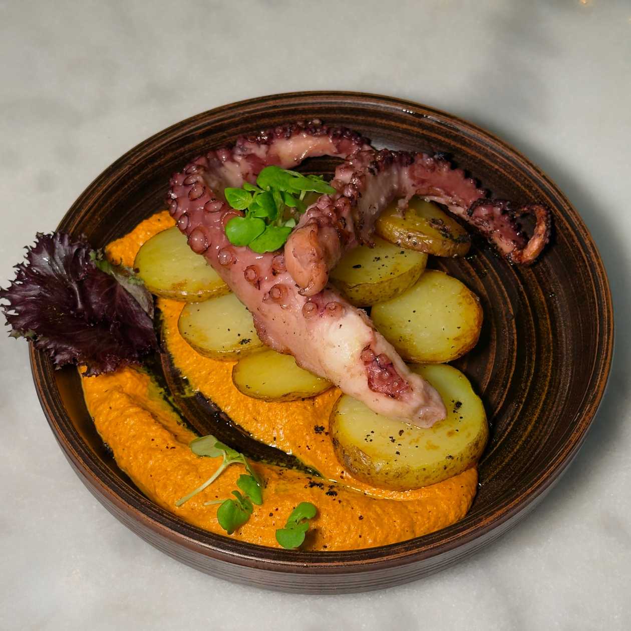 Octopus