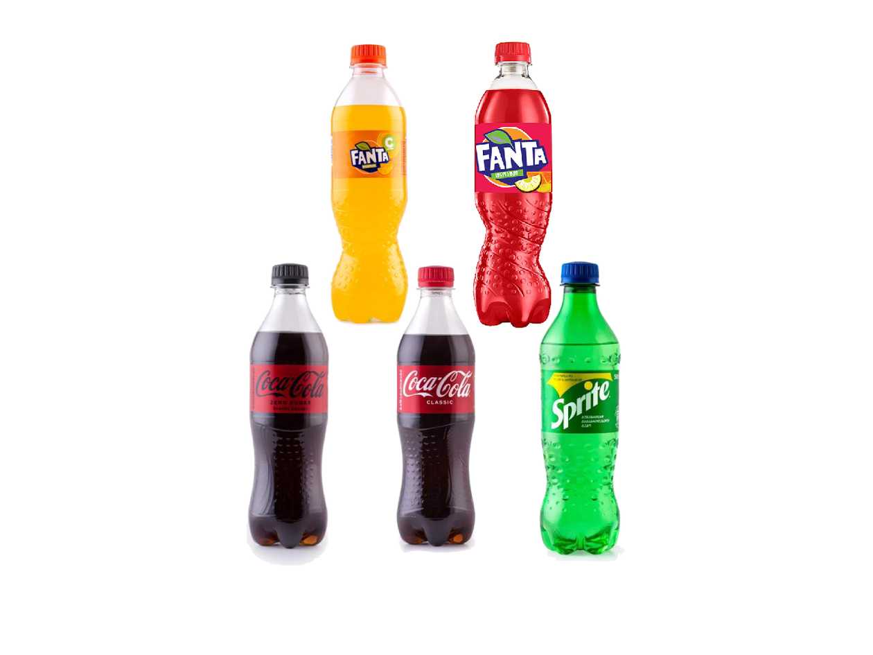 Bottled Drinks (0.5l)