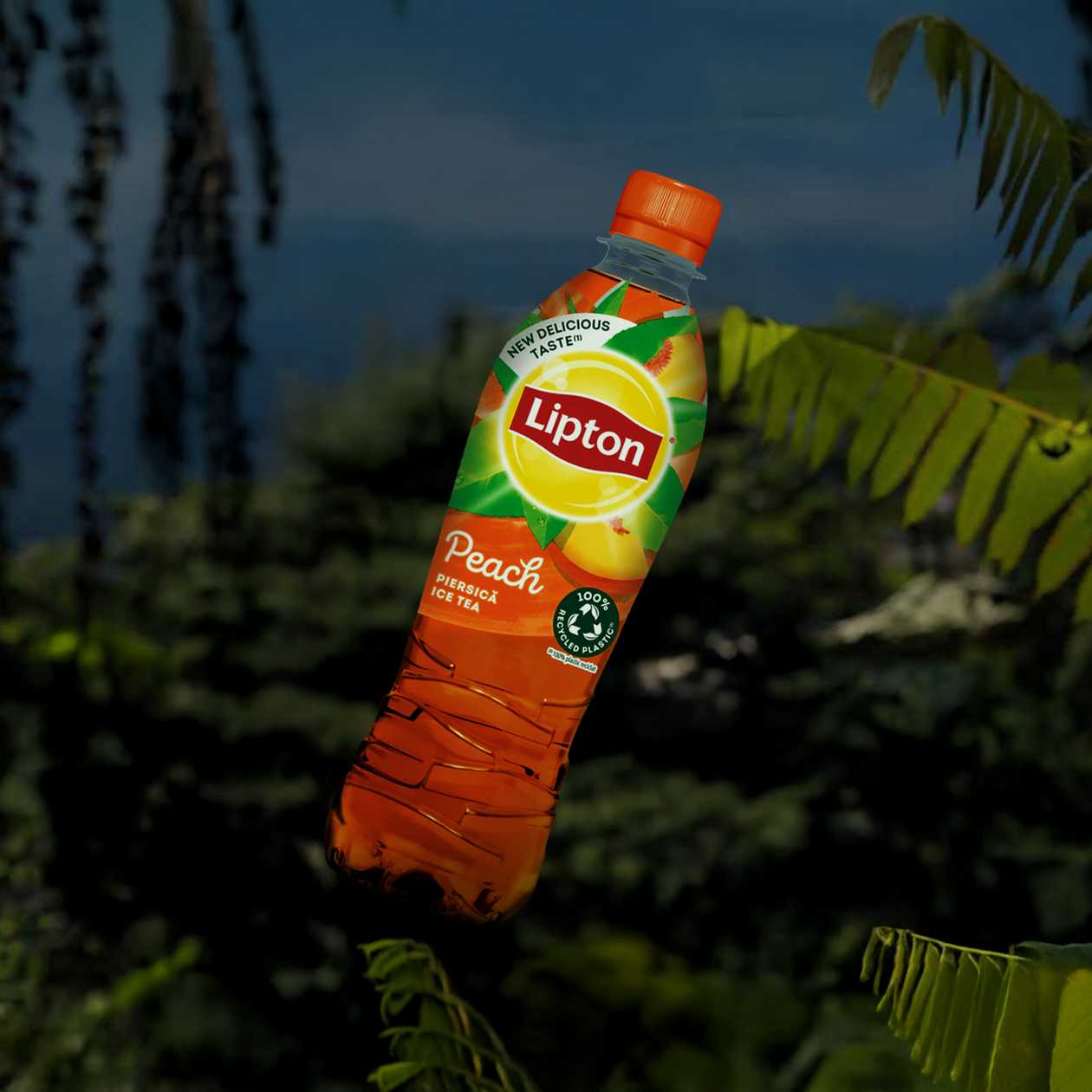 Lipton