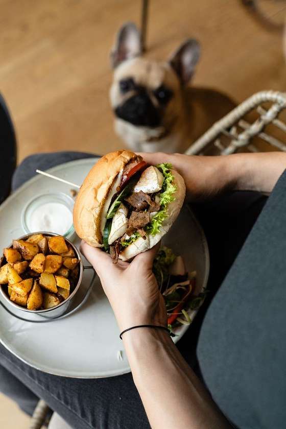 Cashewmbert burger