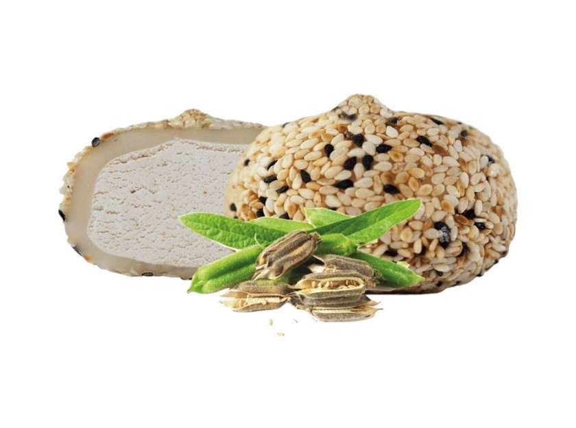 Motiko - Sezam