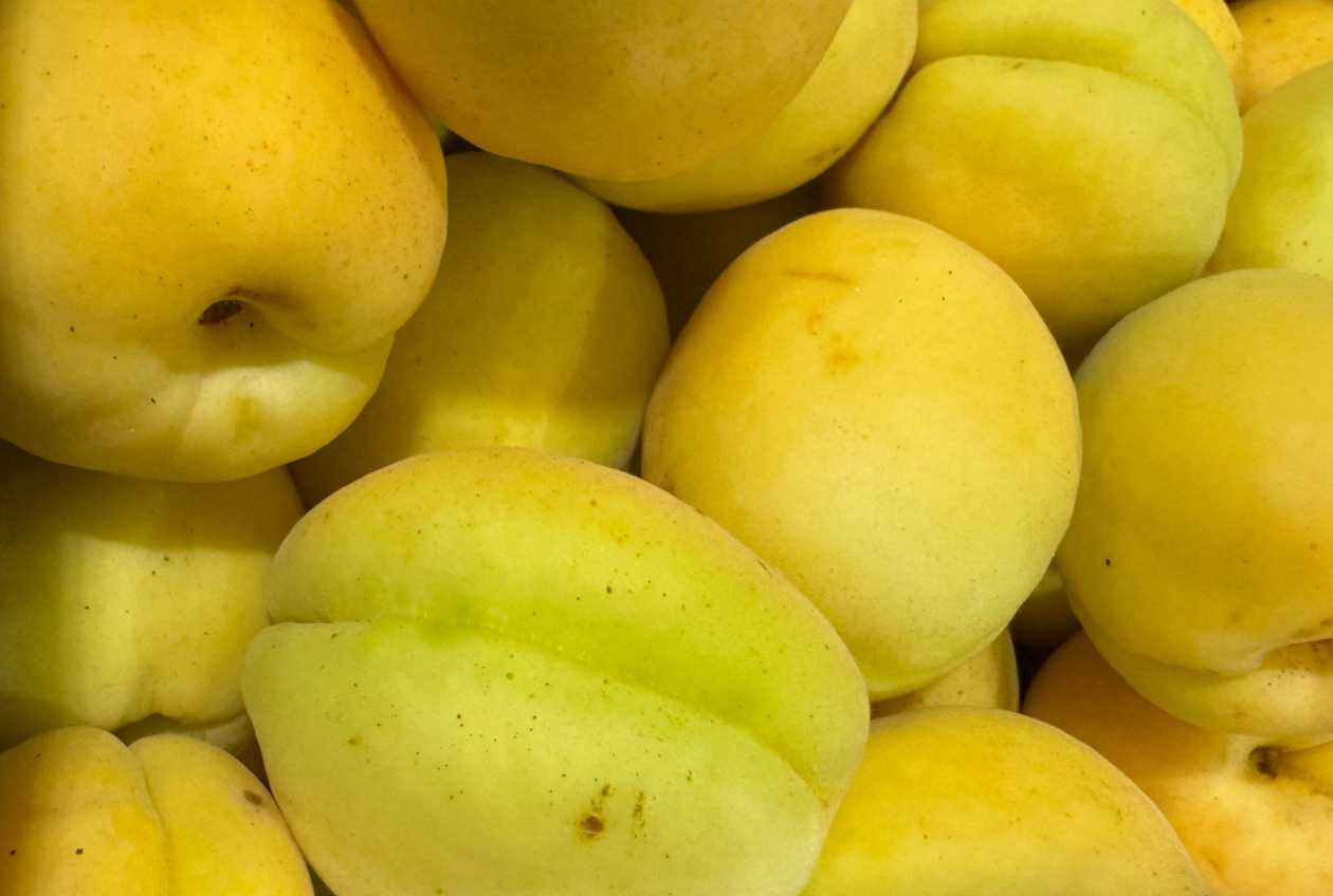 Ağ Ərik Super