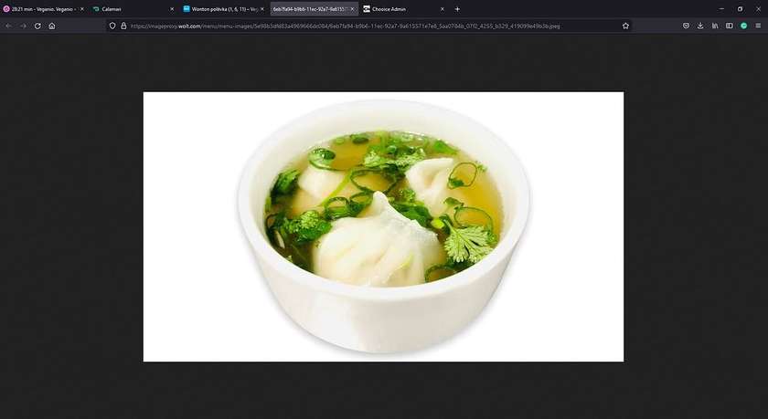 Wonton soup