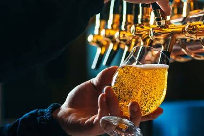 PILSNER Lager 0.5 l