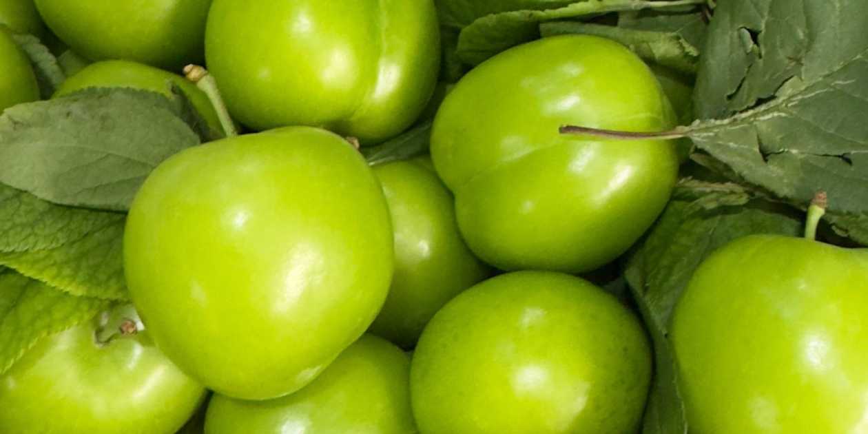 Göyçə Super