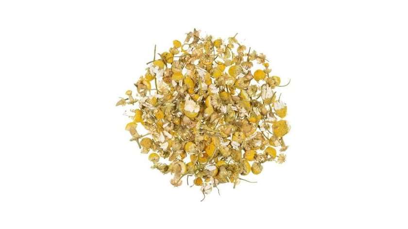 Camomile Blossoms
