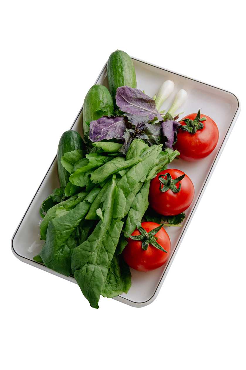Təzə Salat