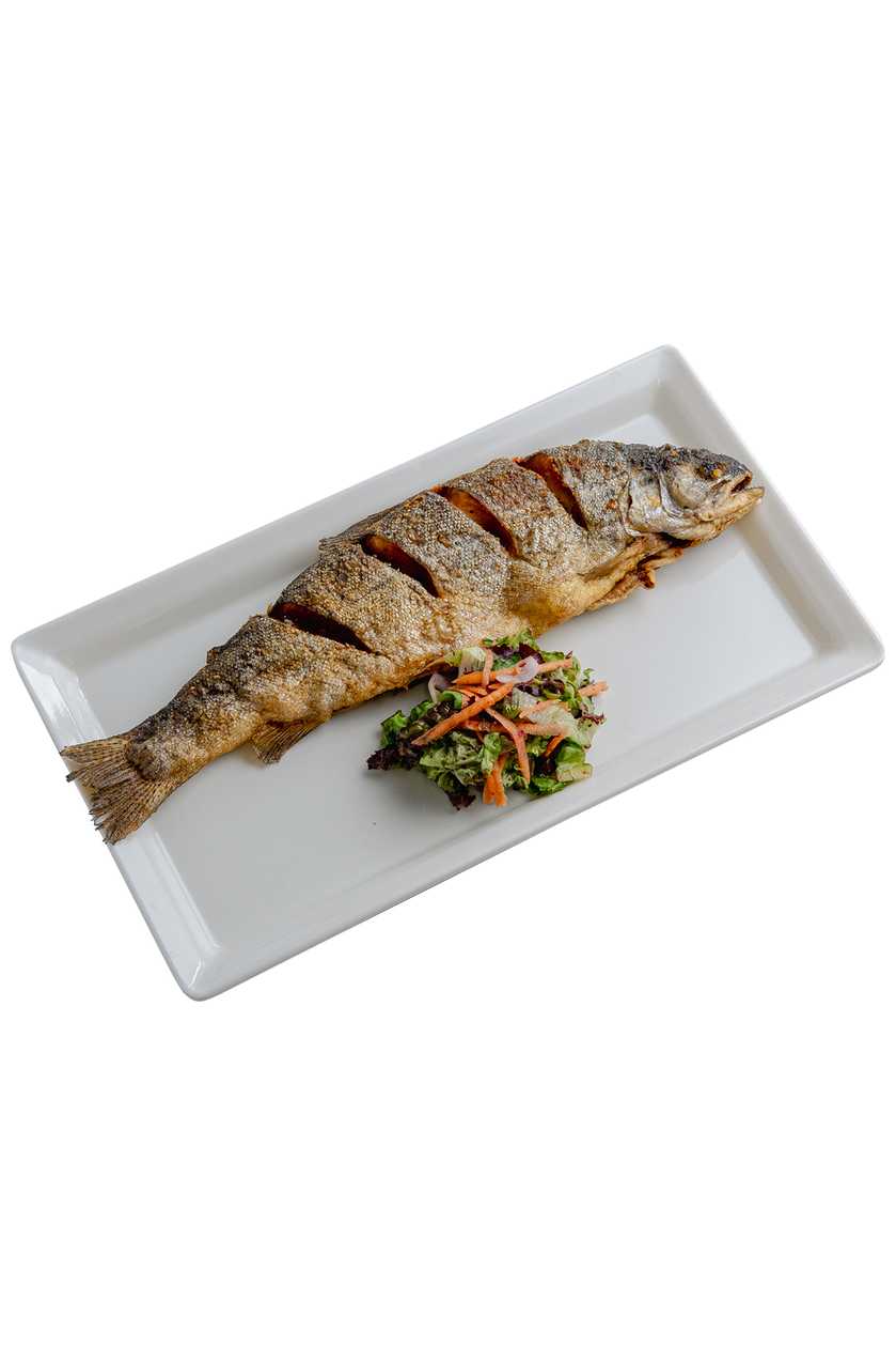 Forel