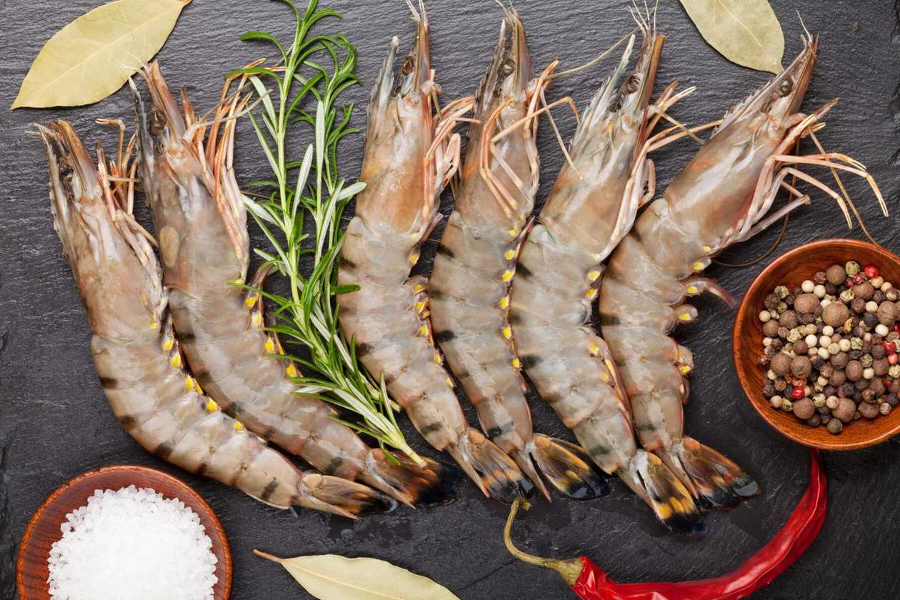 Shrimps - 1 Kilo