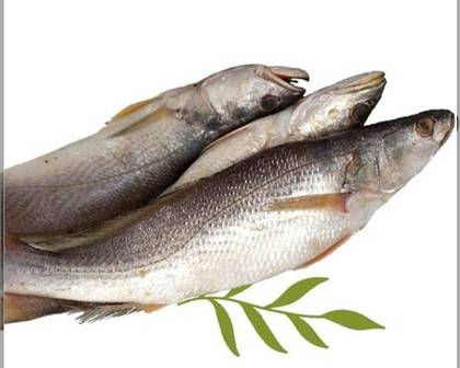 Cassava Fish - 1 Kilo