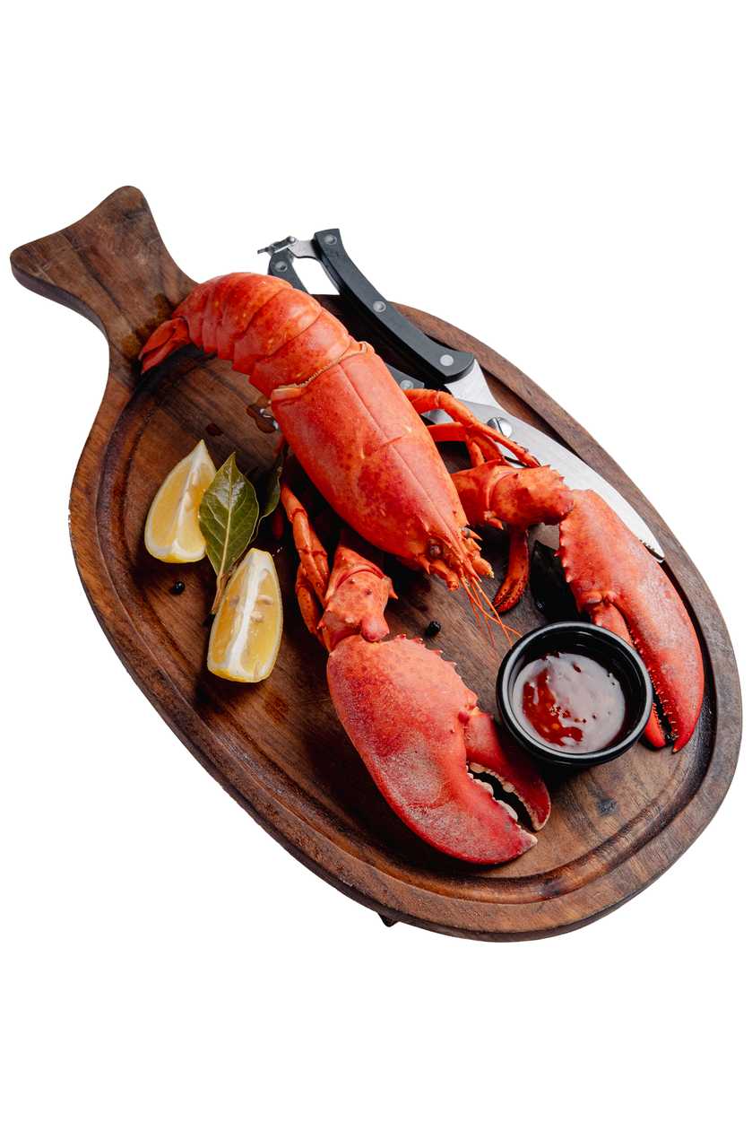 Sadə Lobster