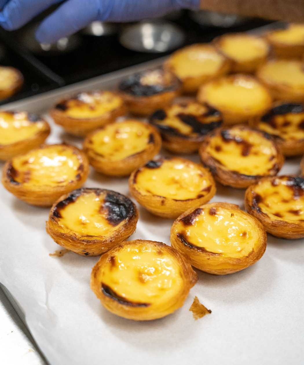 Custard Tart