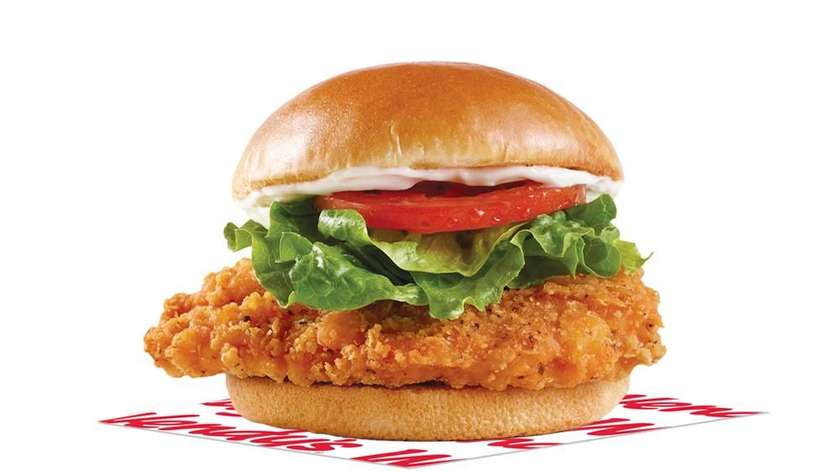 Spicy Chicken Burger