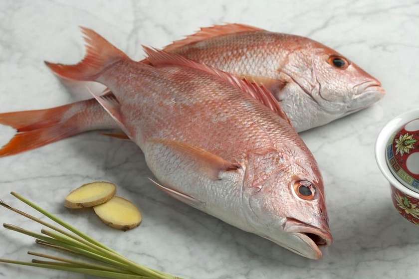 Red Fish - 1 Kilo