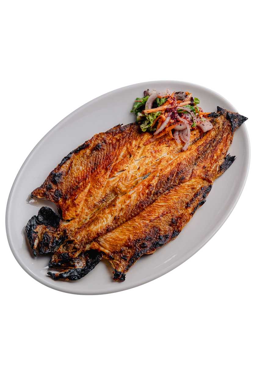 Forel Manqalda