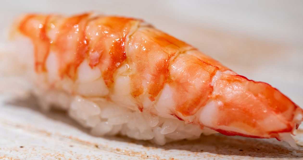Shrimp Nigiri