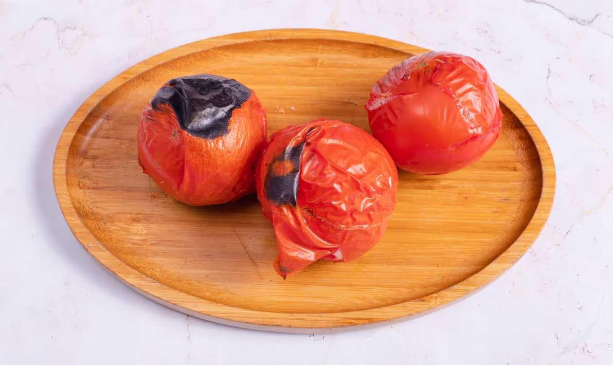 Pomidor Kababı
