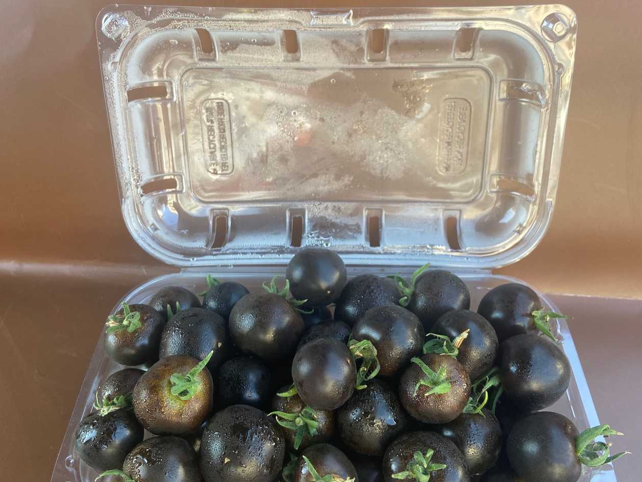 Blueberry Cherry