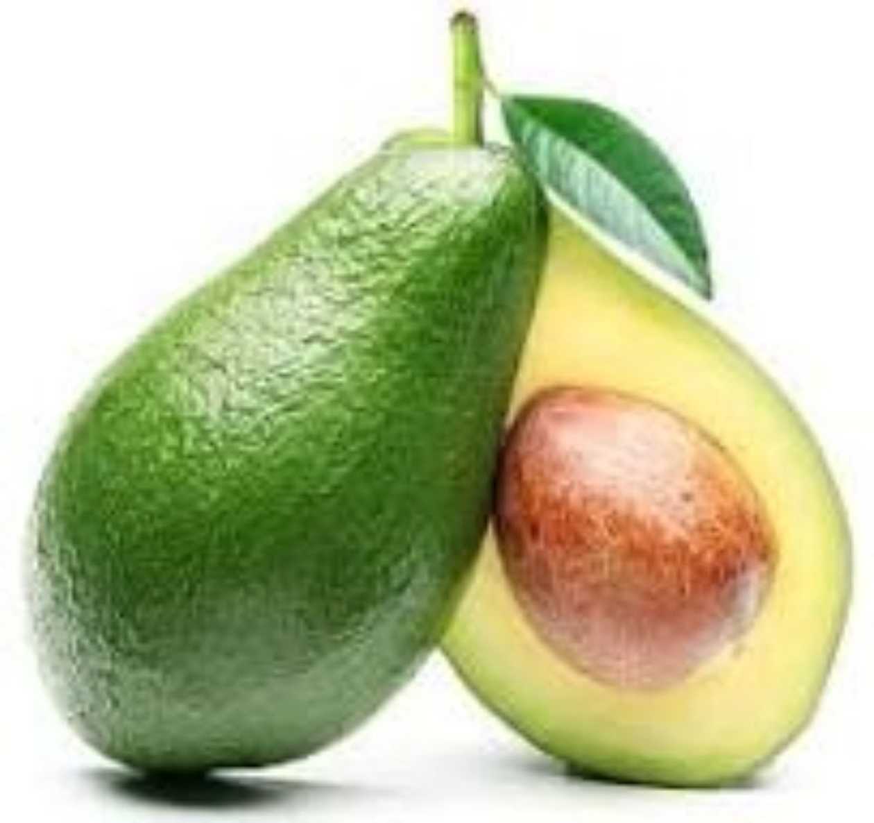 Italian avocados
