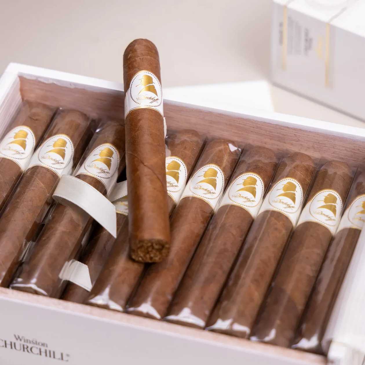 Davidoff Winston Churchill Petit Corona