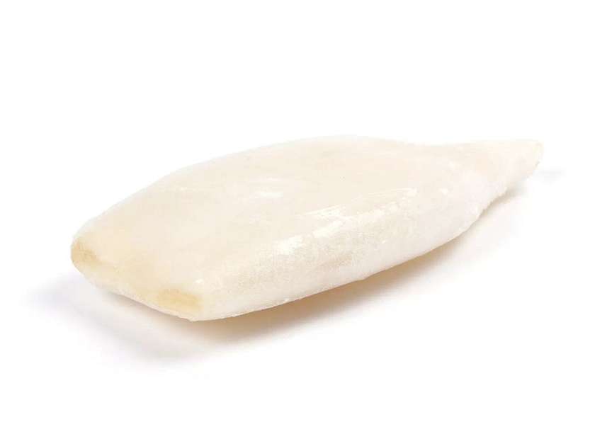 Кальмар атлантичний
