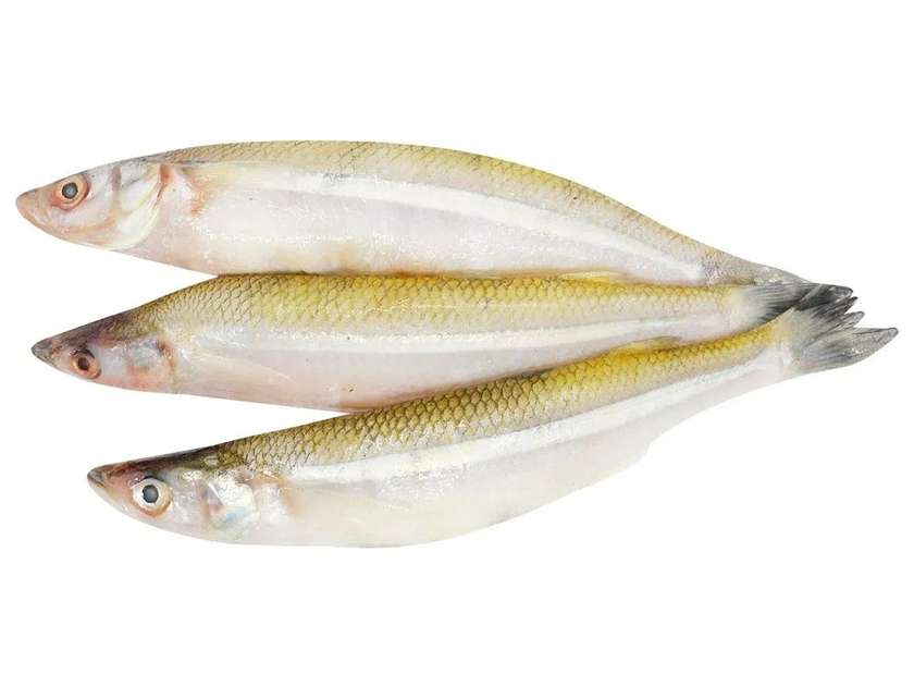Корюшка
