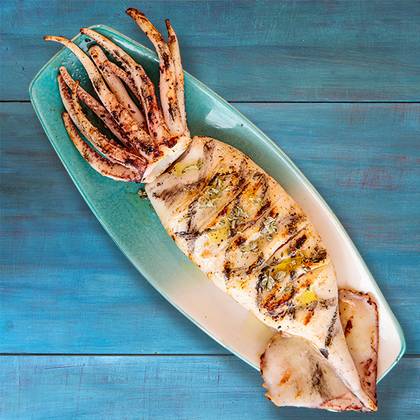 Grilled Calamari