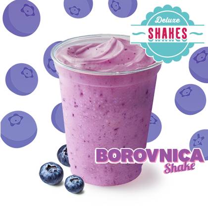 Borovnica Shake 300ml