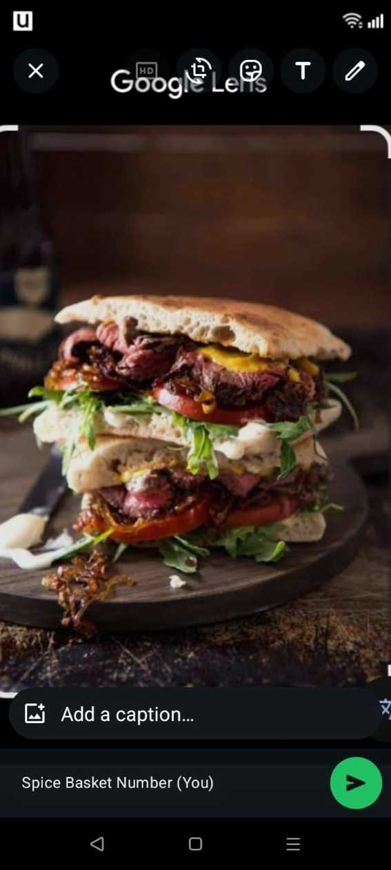 Steak sandwich