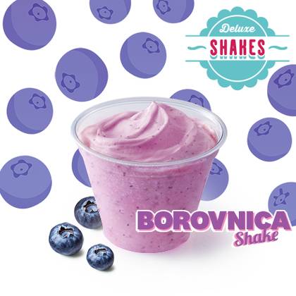 Borovnica Shake 180ml