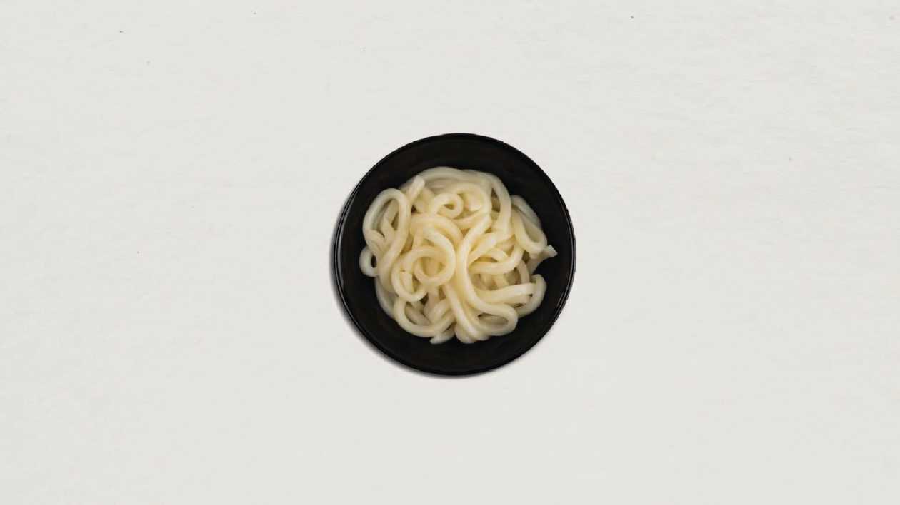 308. Udon Noodles