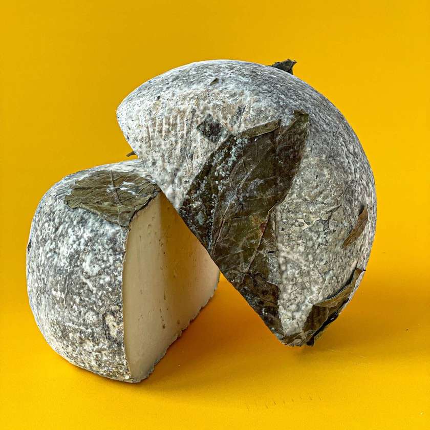 Pecorino Stagionato Under Walnut Leaves