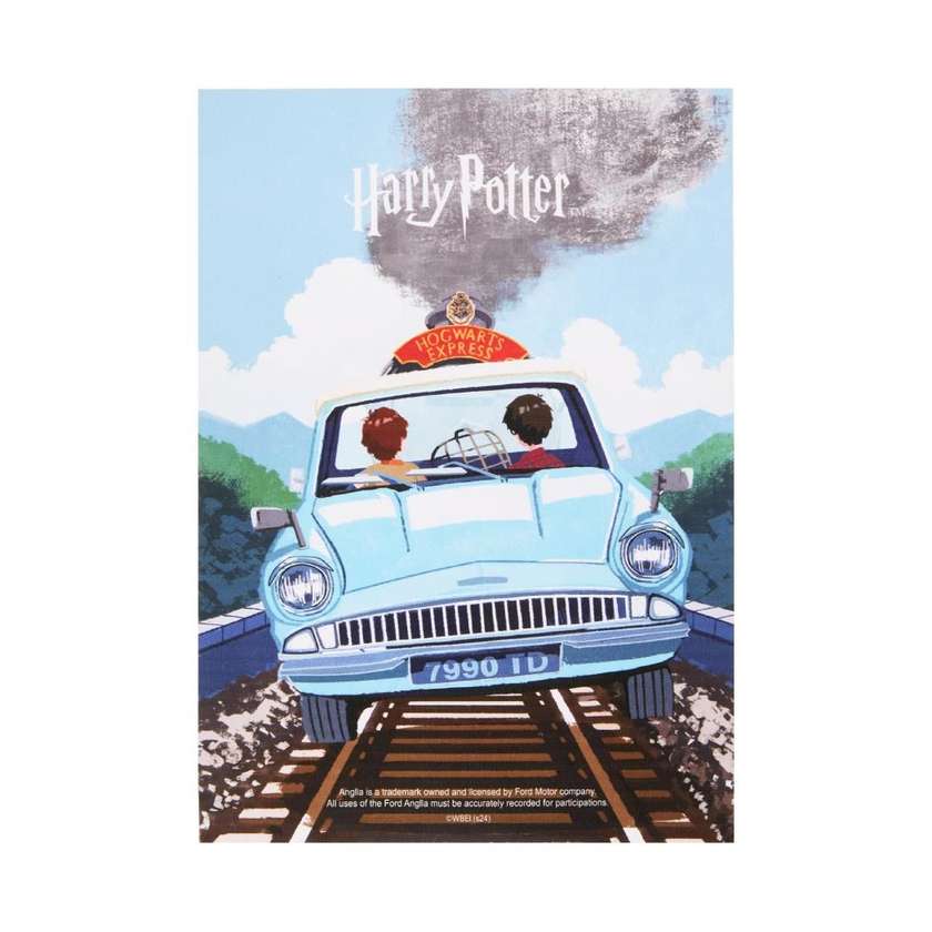 Harry Potter 100-Piece Puzzle(B)