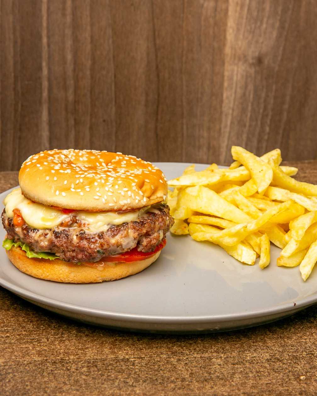 Beef cheese burger with fries