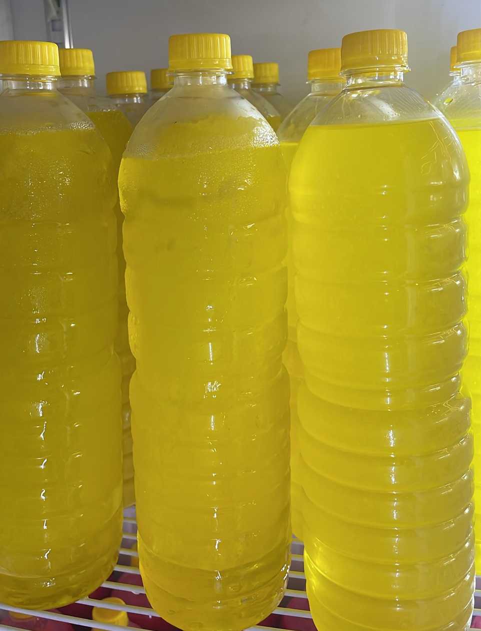 Tangerine 500ml