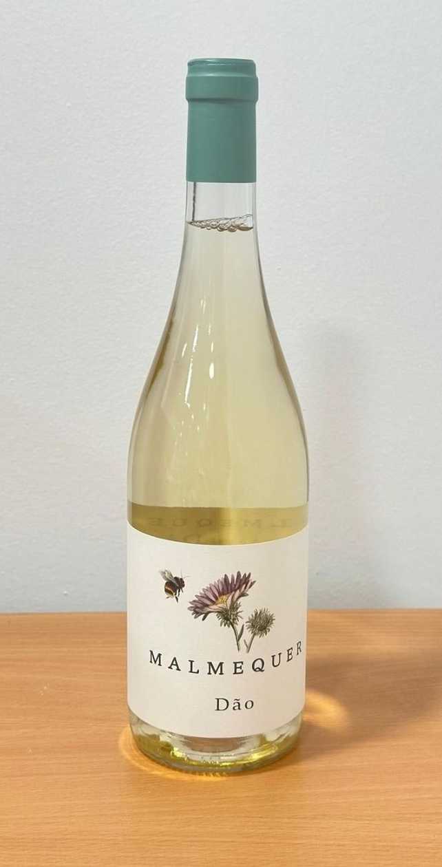 Malmequer (vinho branco)